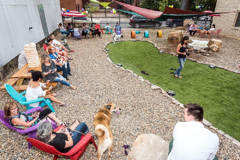 PHOTOS New Bark Bar in Little Rock lets people, pooches socialize over