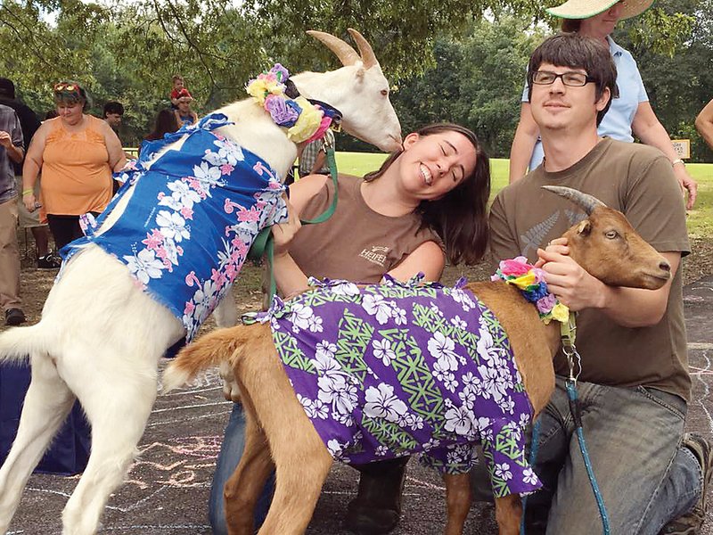 Rebecca Roetzel gets a kiss from her goat Roger as her husband, Mike, holds their goat LeBron last year at the inaugural Arkansas Goat Festival in Perryville. Sarah French of Perry founded the festival, and Rebecca, now an employee of Heifer Ranch in Perryville, is in charge of the Kids Corral this year. The festival is scheduled for 10 a.m. to 7 p.m. Oct. 7 in Perryville City Park.