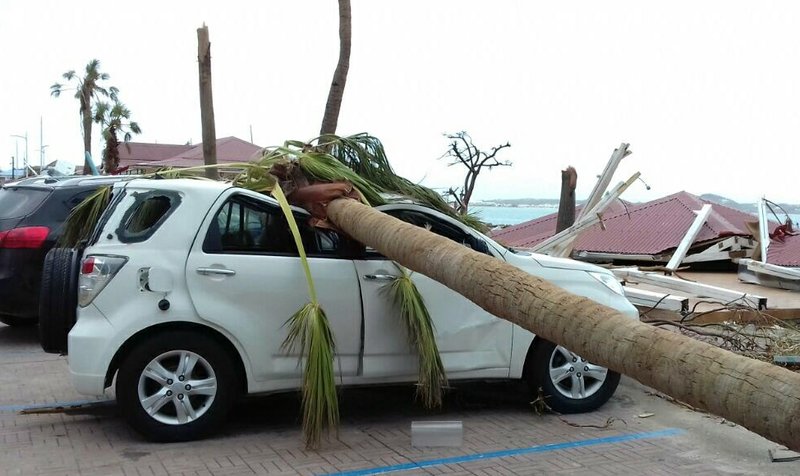 A palm tree lays on a car after the passage of Hurricane Irma, near the shore in Marigot, on the island of St. Martin, Saturday, Sept. 9, 2017. The island is divided between French St. Martin and Dutch Sint Maarten. 