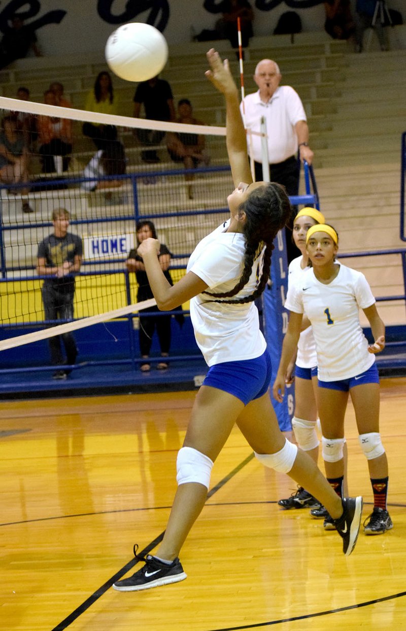 Photo by Mike Eckels Lady Bulldogs&#8217; Kaylee Morales (center) smashes the ball back into Lady Wolves&#8217; territory during the Decatur-Lincoln conference volleyball match at Peterson Gym in Decatur Sept. 5.