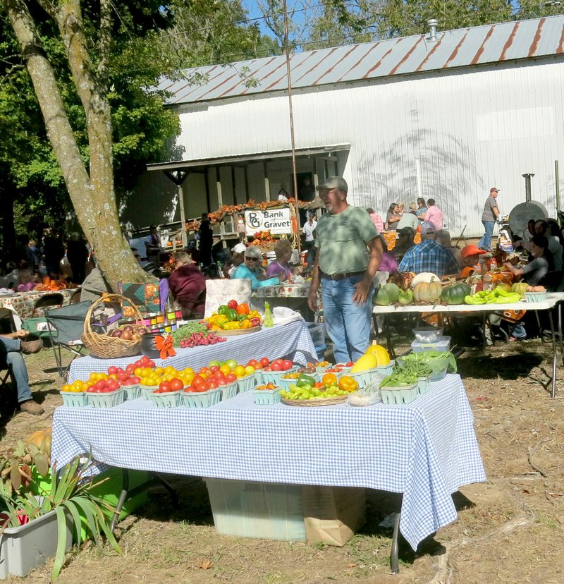 Photo by Susan Holland. Hiwasse gardener Paul Mahon set up a booth and sold his fresh vegetables at the 2016 Hiwasse Fall Festival.