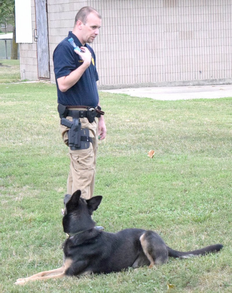 Photo by Mike Eckels Decatur Police Sergeant Ty Eggbrecht and K9 Officer Koda practice commands during the Decatur Barbecue 5K run at Edmiston Ball Field in Decatur Aug. 5. Koda was responsible for finding narcotics which led to three arrests in Decatur and Benton County during the month of August.