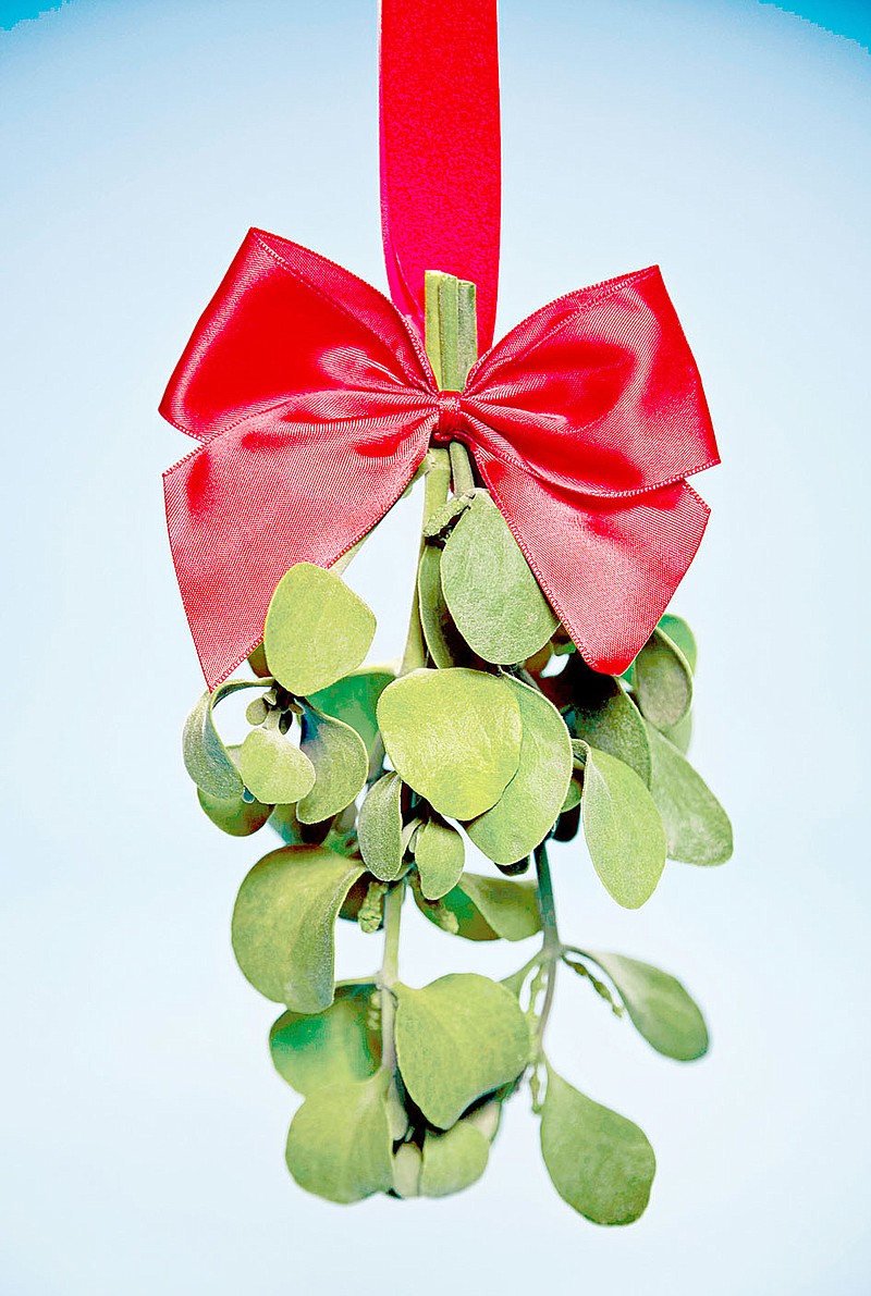 Mistletoe and other holiday plants can be toxic to pets or children.