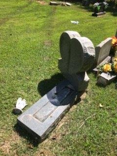 A vandal drove a truck through a cemetery in Bono on Tuesday night, damaging multiple tombstones.