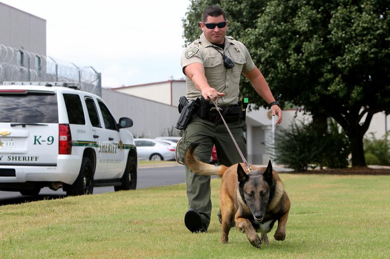 NWA Democrat-Gazette/DAVID GOTTSCHALK Sgt. T.J. Rennie with the Washington County Sheriff’s Department works with Ranger, 7, a canine officer, Tuesday in an article-search training drill at the department in Fayetteville. The sheriff’s budget request includes eight new patrol positions and vehicles.