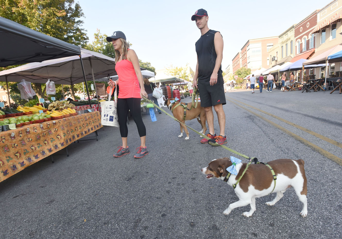 are dogs allowed in the farmers market