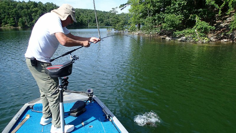 Dwayne Culmer catches a largemouth bass last year at Beaver Lake, which is a haven for fishing, boating and more. The lake will get an annual cleaning Saturday.