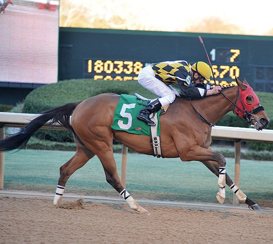The Sentinel-Record/File photo RECORD BREAKER: Jockey Calvin Borel rides Ivan Fallunovalot to win the King Cotton Stakes at Oaklawn Park on Jan. 30, 2016. Under jockey Luis Quinonez, Ivan Fallunovalot set a track record Sunday at Remington Park in Oklahoma City as he won the $150,000 David M. Vance Stakes for the fourth straight year.