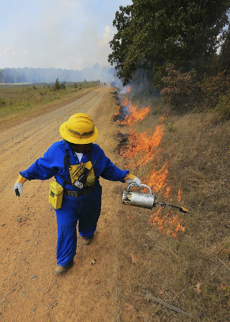 Derinda Smith-Applewhite sets fire to dry grass Wednesday during a workshop on controlled burns at Camp Robinson. Wildfire risk is up across the state. 