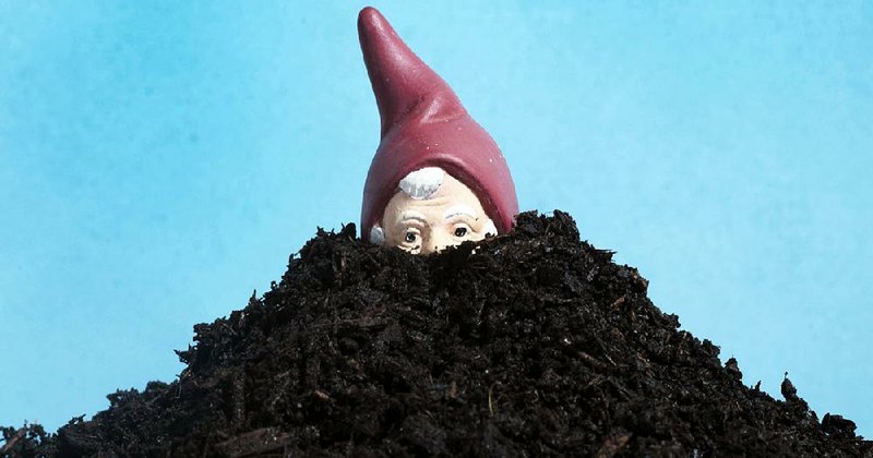 There are many kinds of mulch. Do you gnome all? 