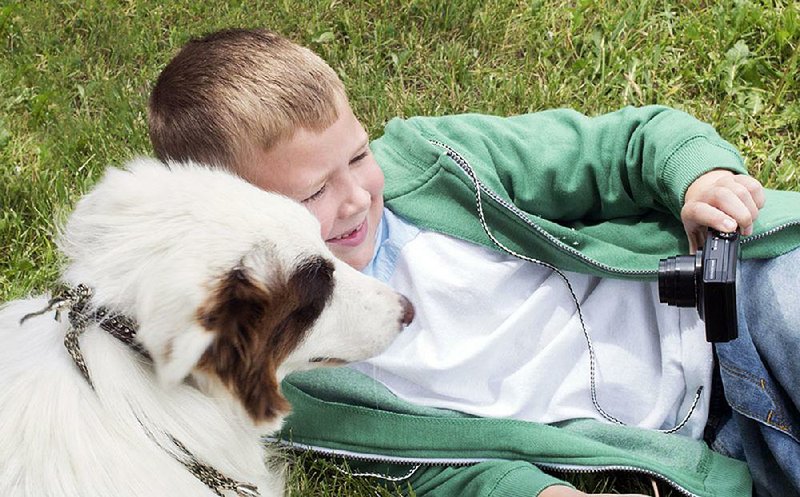 Christian Davis (Connor Corum) and his family are helped out by a very good dog named Pluto (played by border collie Shiloh) in The Stray.