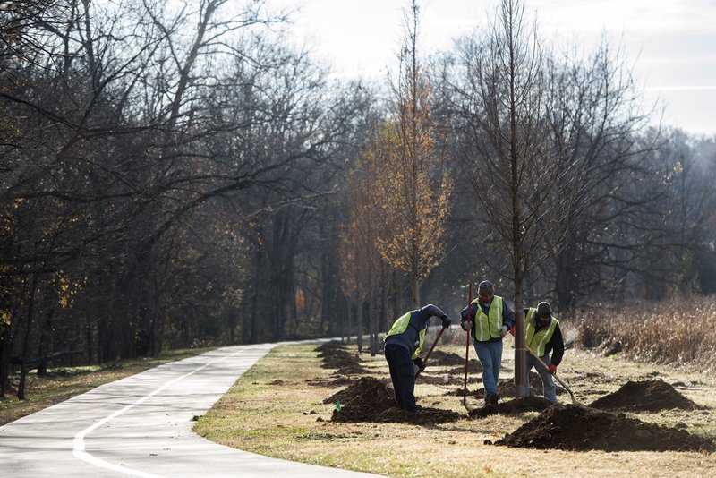 NWA Democrat Gazette/SPENCER TIREY Kenny Cyr (from right) Santiago Martinez and Brain Quals with Fresh-N-Green plant a new tree on the Wishing Springs Trail, Friday Dec. 2, 2106, in Bentonville. 
