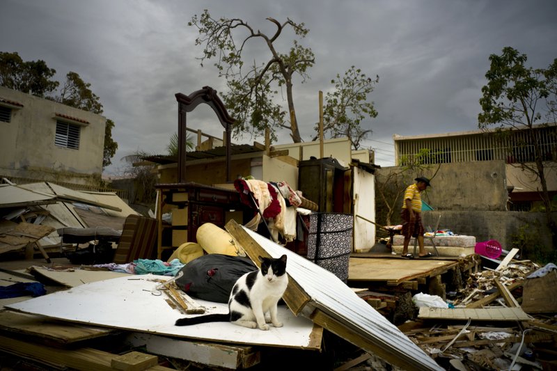 Efrain Diaz Figueroa, right, walks by his sister's home destroyed in the passing of Hurricane Maria, in San Juan, Puerto Rico, Monday, Oct. 9, 2017. Maria sent tens of thousands of Puerto Ricans fleeing to the U.S. mainland to escape the immediate aftermath of the storm. The 70-year-old is waiting for a sister to come take him to stay with family in Boston. &#x201c;I&#x2019;m going to the U.S. I&#x2019;ll live better there,&#x201d; he said. (AP Photo/Ramon Espinosa)