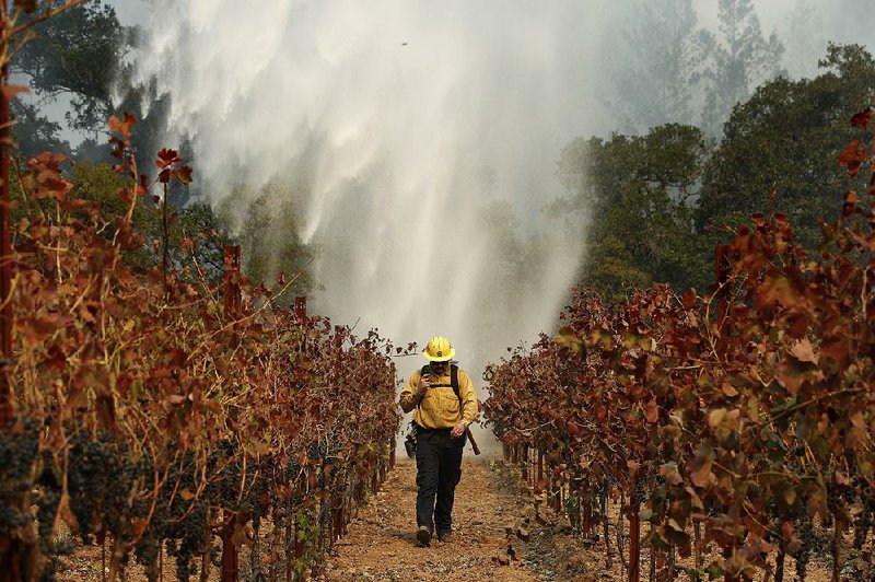 Firefighter Chris Oliver walks between rows of grapevines Saturday in Santa Rosa, Calif., as a helicopter drops water over a wildfire that grew overnight, fed by high winds.