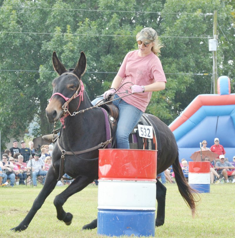 Sarah McCrary of Rogers rides her father's mule, Clover, in the barrel race. Her father, Rick McCrary, was one of the original people involved in the formative events that led to today's Pea Ridge Mule Jump.