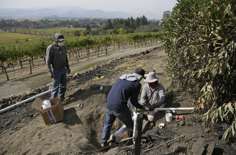 In this Monday, Oct. 16, 2017 photo, workers begin repairs to a damaged irrigation pipe at the wildfire-damaged Signorello Estate winery in Napa, Calif. Residents in California wine country are increasingly worried about the ability to pay their bills as wildfires drag on. The state's deadliest group of fires has left many business owners and employees without work or pay for nine days. Business communities are just returning to assess the effect on revenue and jobs. (AP Photo/Eric Risberg)