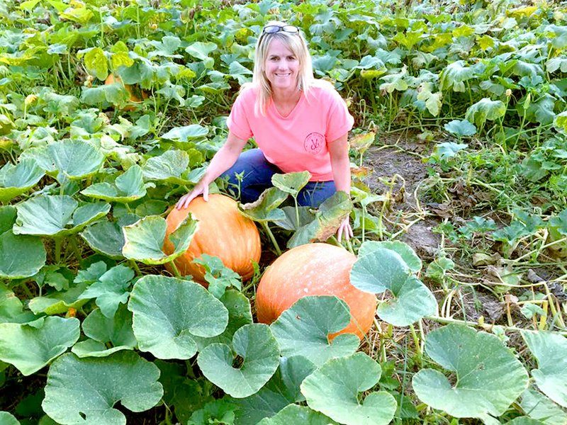Photo submitted Melissa Bond posed with two giant pumpkins growing from the same vine.