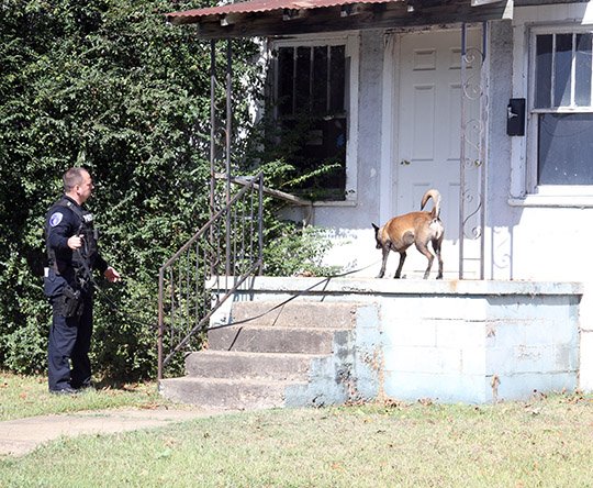 The Sentinel-Record/Grace Brown WORKING THE SCENE: Cpl. Brandon Jones with the Hot Springs Police Department and his K-9, Keena, investigate the scene of a late-night shooting near the intersection of Thornton Street and Hobson Avenue on Tuesday.