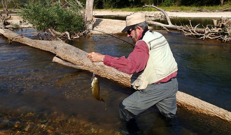 Russ Tonkinson battles a log as well as the fish to catch a smallmouth bass from the Elk River near Pineville, Mo. The bass was holed up in a tub-sized pool and ambushed a top-water lure.