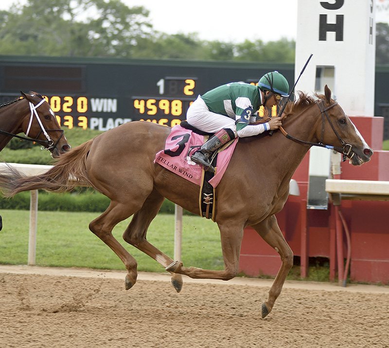 The Sentinel-Record/Mara Kuhn EARLY FAVORITE: Jockey Victor Espinoza rides Stellar Wind to win the Apple Blossom at Oaklawn Park on April 14. Stellar Wind is the early 5-2 pick in the mile and an eighth Breeders' Cup Distaff Saturday at Del Mar.