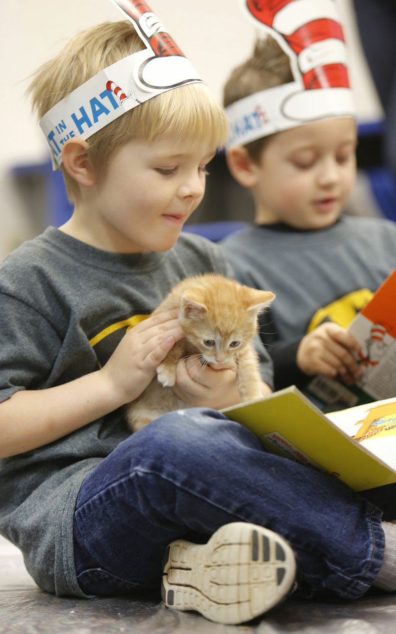 NWA Democrat-Gazette/DAVID GOTTSCHALK Noah Capdeville, a student at T.G. Smith Elementary School in Springdale, reads to an orange tabby fostered by Fabulous Felines of Northwest Arkansas in Springdale. The nonprofit organization readies cats for adoption to permanent indoor homes. 