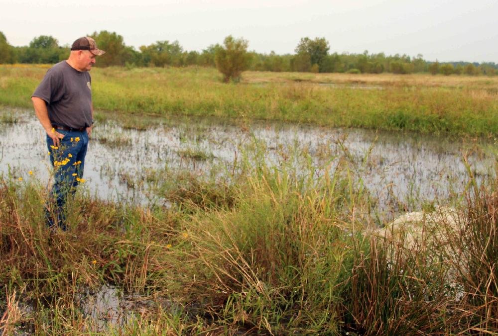 Frog Bayou WMA The Arkansas DemocratGazette Arkansas' Best News Source