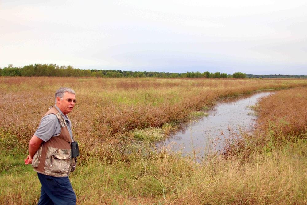 Frog Bayou WMA The Arkansas DemocratGazette Arkansas' Best News Source