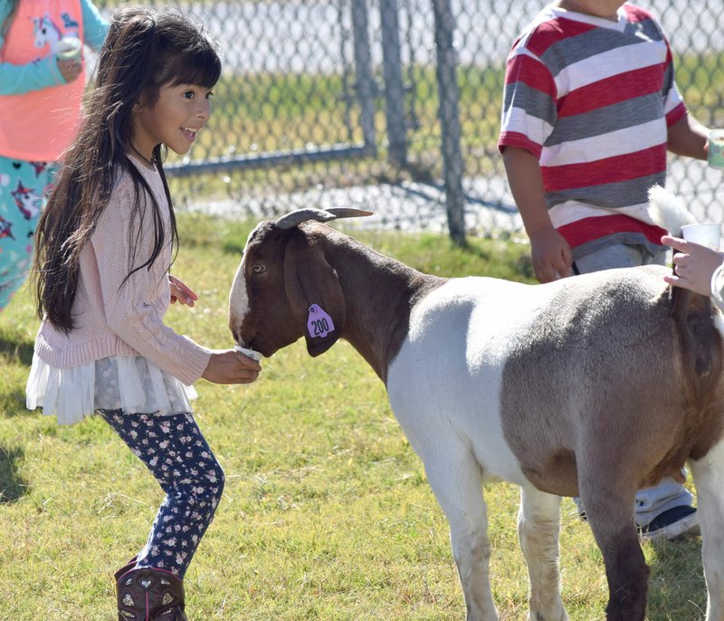 Photo by Mike Eckels Jazmin Cardona showed her excitement as she fed one of the goats on display during the Farm Expo program at Northside Elementary in Decatur Oct. 26. The students had a chance to interact with some familiar farm animals as a way of learning more about agriculture.