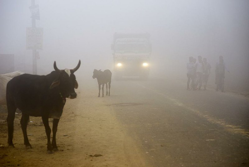 Cattle stand shrouded in foul air on the side of a road Wednesday in Greater Noida, near New Delhi. 