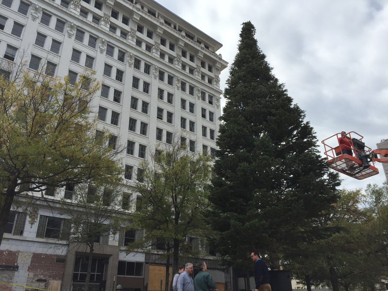 A 40-feet Christmas tree is installed Tuesday, Nov. 14, 2017, at Main Street and West Capitol Avenue in downtown Little Rock. 
