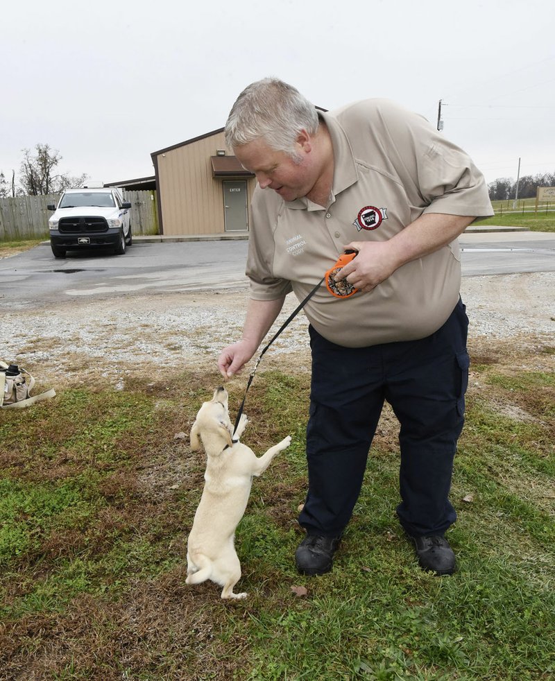 NWA Democrat-Gazette/FLIP PUTTHOFF Cody Wilson, an animal control officer, takes pooch Celena out for a walk Tuesday at the Centerton Animal Shelter.