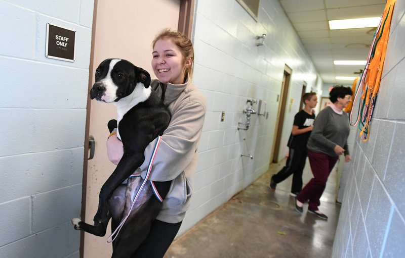 Savanna Thornton carries a dog Monday to the outdoor area of the Springdale Animal Shelter. Thornton works at the shelter. A proposed bond issue includes an estimated $5.2 million to either renovate or replace the city’s animal shelter.