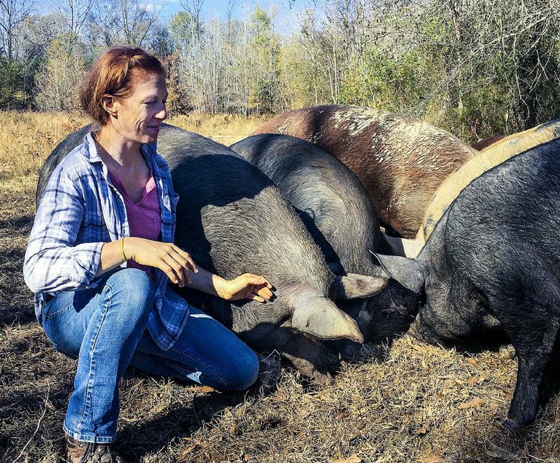 Katie Short, 34, of Farm Girl Meats in Perryville feeds her hogs Monday morning. She also raises cows, chickens — and this year, turkeys — for Arkansas tables. 