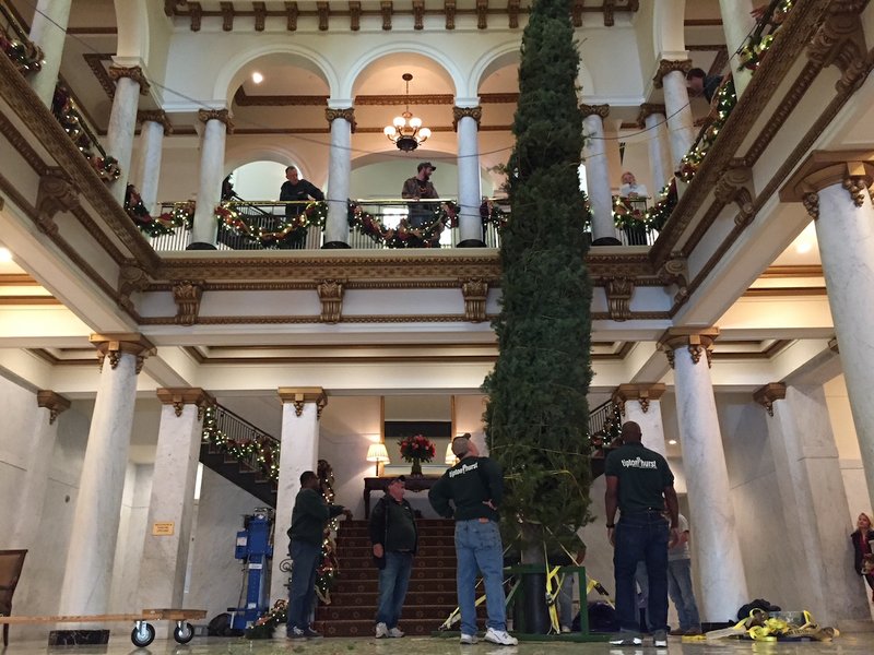 Workers on Friday, Nov. 24, 2017, prepare to move a 30-foot White Fir into place inside Little Rock's Capital Hotel after hoisting the tree upright from a second-floor balcony.