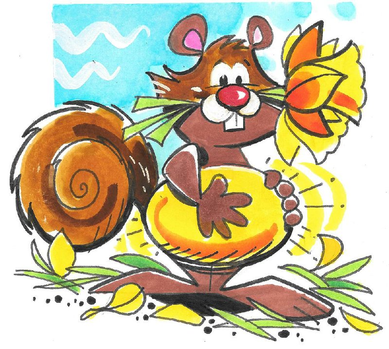 Arkansas Democrat-Gazette Squirrel Illustration
