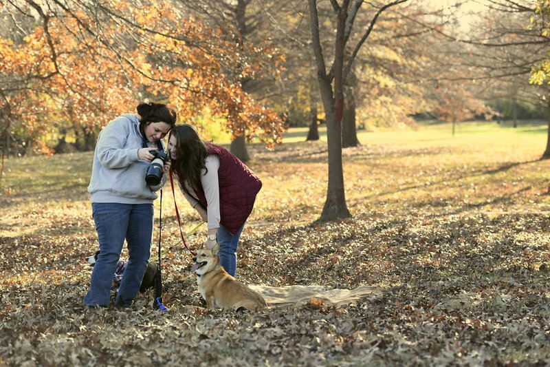 Olivia Foster (left) of Green Forest reviews photos with Jacie Sweeney of Fayetteville after a photo session with Sweeney’s dogs Champ and Ollie Jean at Gulley Park. Fayetteville has set aside $200,000 to develop a parks plan, which hasn’t received an update since 2002. Parks officials say having a new plan in place will make it easier to plan individual parks and best address what the community wants.