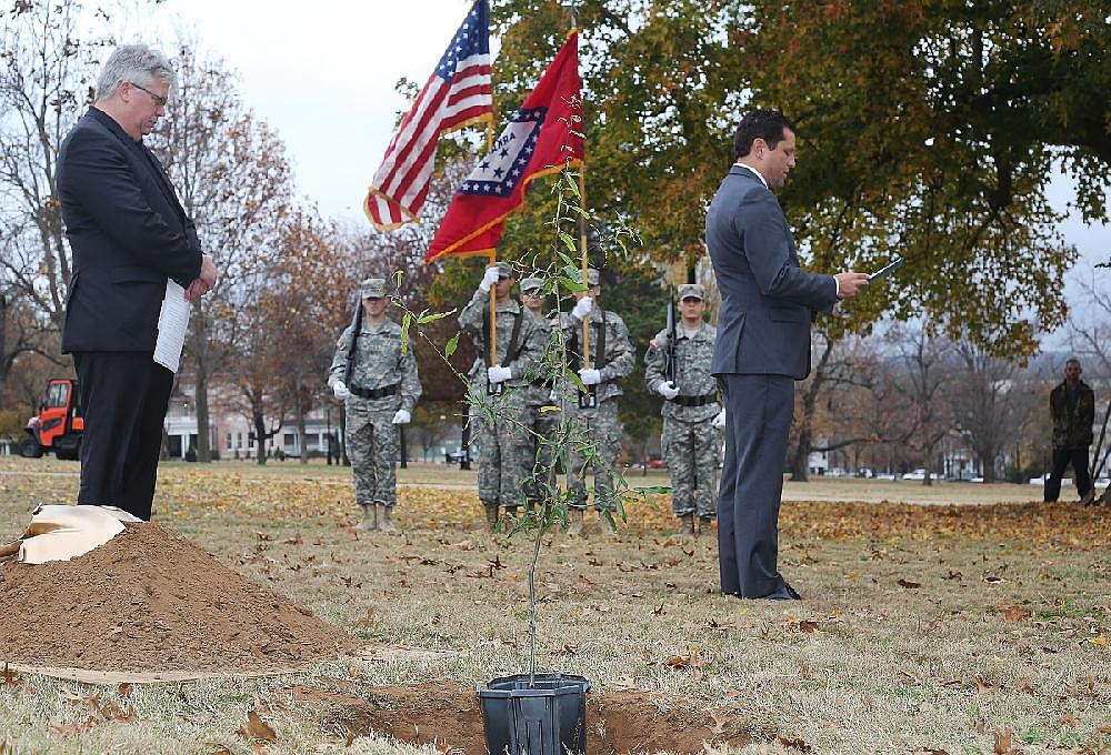 For WWI centennial, aim is commemorative tree planted in all 75 ...