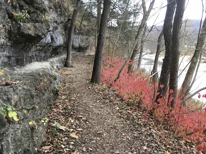 The River Trail takes hikers along Roaring River during a 1.4-mile out-and-back trek.
