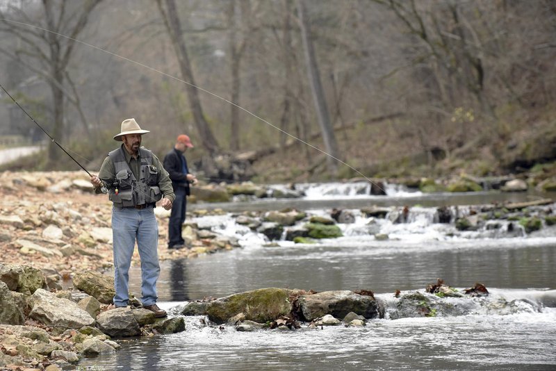 Floyd Redburn of Springfield, Mo., casts a fly for rainbow trout recently on at Roaring River State Park. Redburn caught and released several fish using a woolly bugger fly he tied.