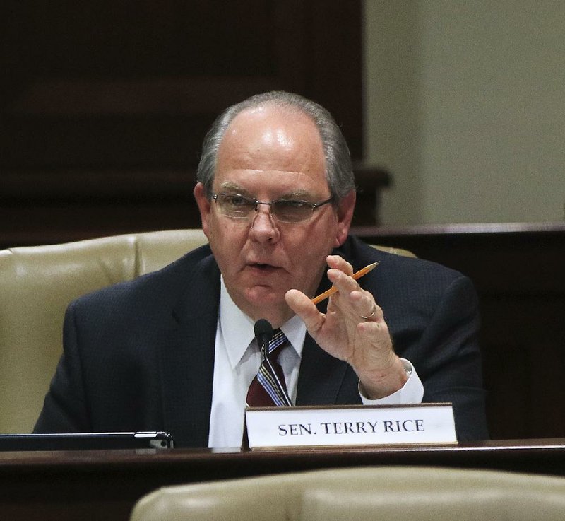 Sen. Terry Rice, R-Waldron, is shown in  this file photo.