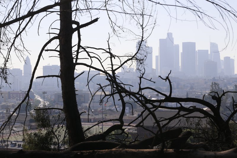 Los Angeles skyline is seen through burned trees after a brush fire erupted in the hills in Elysian Park in Los Angeles Thursday, Dec. 14, 2017. The National Weather Service said extreme fire danger conditions could last through the weekend due to lack of moisture along with a likely increase in wind speeds.