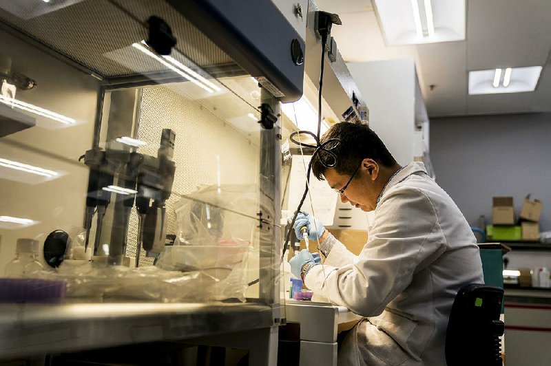 A technician extracts DNA from sludge samples in a laboratory at the Hong Kong Science Park in Hong Kong last week. 