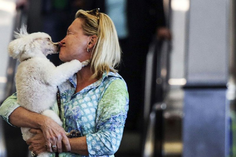 Dottie Arn of Hot Springs gets kisses from her dog, Amber, at Bill and Hillary Clinton National Airport/Adams Field after returning home Friday from California. The airport expects to finish this year having served more than 2 million passengers.