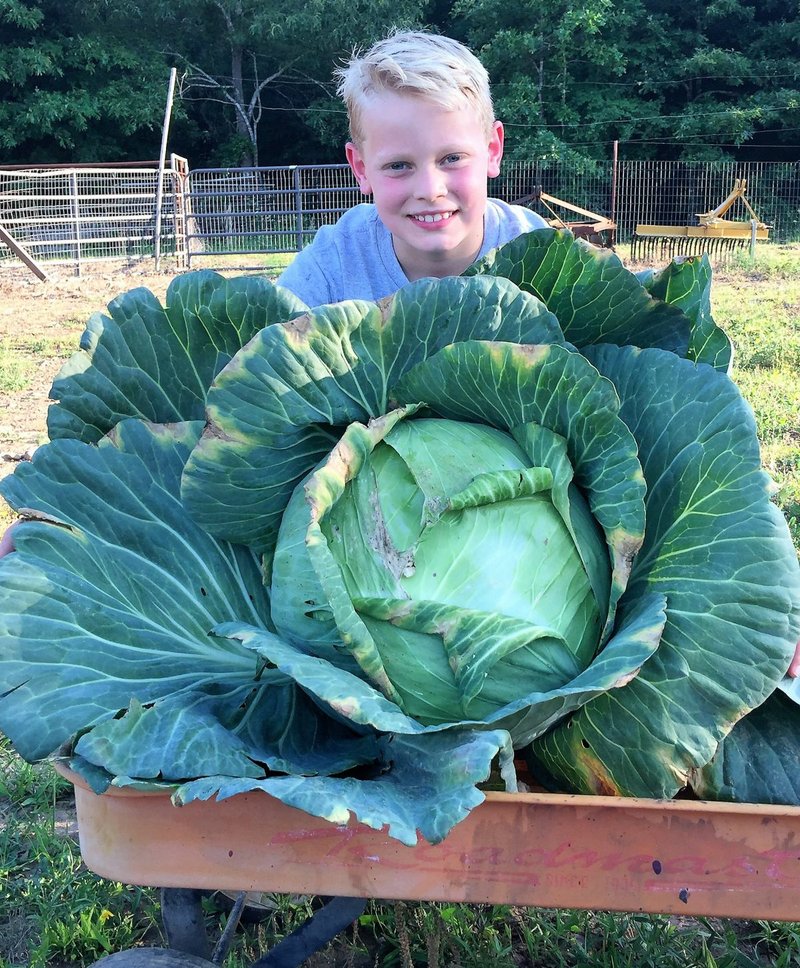 John-Micheal Farthing and his prize-winning cabbage. 