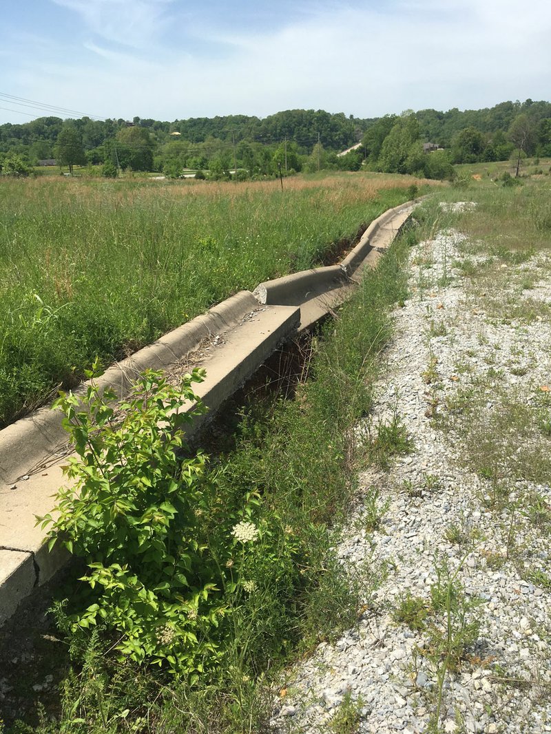 File Photo/NWA Democrat-Gazette/SCARLET SIMS Grass and weeds grow in the Meadows at River Mist in May. The Bank of Fayetteville plans to sell about 12 acres of the abandoned high-density subdivision to Heritage Fellowship Church. The move effectively kills the plan for a decentralized sewer system 1,500 feet from the lake.