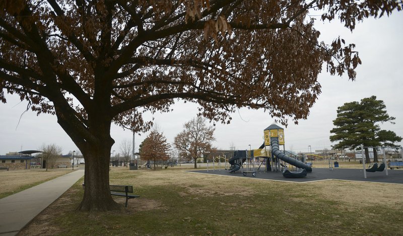  A large tree stands Thursday in Luther George Grove Street Park in downtown Springdale. The city received a $642,638 grant from the Walton Family Foundation meant to begin implementation of the city's Downtown Master Plan and help fund improvements at nearby Luther George Grove Street Park.