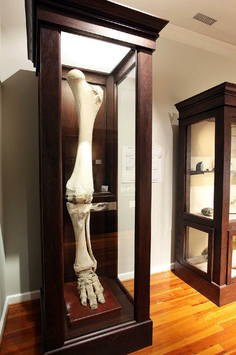 The Old State House Museum’s “Cabinet of Curiosities” is still open for viewing at 300 W. Markham St. The exhibit includes a variety of items from the University of Arkansas’ archives. Hours are 9 a.m.-5 p.m. Monday-Saturday, 1-5 p.m. Sunday, and admission is free. Call (501) 324-9685.
