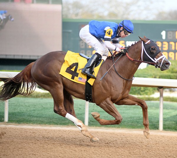 Rockshaw targets allowance race comeback