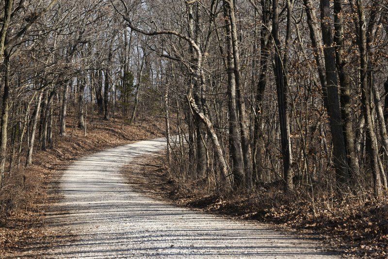 The well-maintained gravel road of the Sugar Camp Scenic Drive goes for eight miles with vistas and pull-offs.