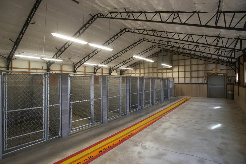The kennels at the Centerton Animal Shelter. The shelter has 18 kennels, but is in the process of expanding to 60 with additional dog runs outside, Mayor Bill Edwards said.